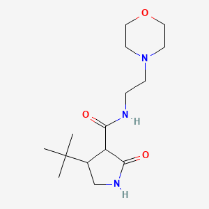 4-tert-butyl-N-[2-(morpholin-4-yl)ethyl]-2-oxopyrrolidine-3-carboxamide
