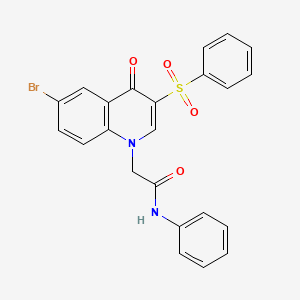 molecular formula C23H17BrN2O4S B2983272 2-(6-bromo-4-oxo-3-(phenylsulfonyl)quinolin-1(4H)-yl)-N-phenylacetamide CAS No. 902583-87-3