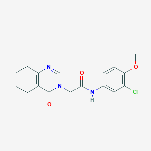 molecular formula C17H18ClN3O3 B2985582 N-(3-chloro-4-methoxyphenyl)-2-(4-oxo-5,6,7,8-tetrahydroquinazolin-3(4H)-yl)acetamide CAS No. 1251546-11-8
