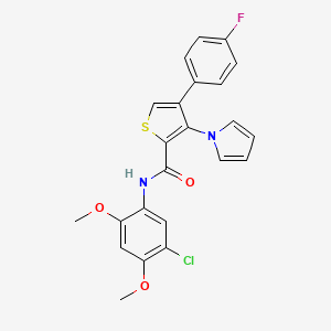 B2985857 N-(5-chloro-2,4-dimethoxyphenyl)-4-(4-fluorophenyl)-3-(1H-pyrrol-1-yl)thiophene-2-carboxamide CAS No. 1357712-33-4