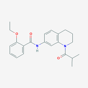 molecular formula C22H26N2O3 B2986558 2-ethoxy-N-(1-isobutyryl-1,2,3,4-tetrahydroquinolin-7-yl)benzamide CAS No. 1005294-29-0