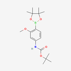 [3-Methoxy-4-(4,4,5,5-tetramethyl-[1,3,2]dioxaborolan-2-yl)-phenyl]-carbamic acid tert-butyl ester