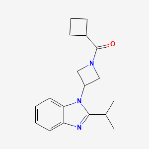 Cyclobutyl-[3-(2-propan-2-ylbenzimidazol-1-yl)azetidin-1-yl]methanone