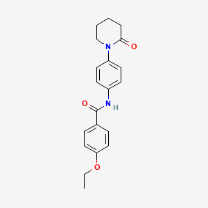 molecular formula C20H22N2O3 B2988318 4-ethoxy-N-[4-(2-oxopiperidin-1-yl)phenyl]benzamide CAS No. 922978-14-1