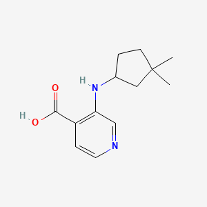 3-[(3,3-Dimethylcyclopentyl)amino]pyridine-4-carboxylic acid