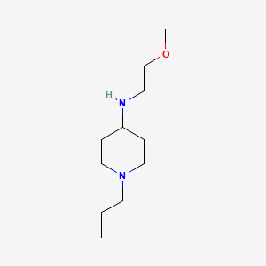 N-(2-methoxyethyl)-1-propylpiperidin-4-amine