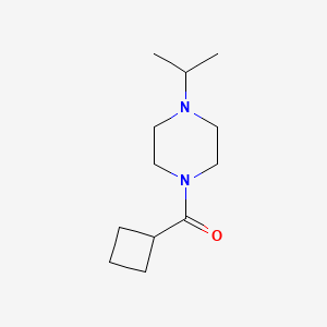 1-Cyclobutanecarbonyl-4-(propan-2-yl)piperazine