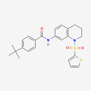 molecular formula C24H26N2O3S2 B2998440 4-(tert-butyl)-N-(1-(thiophen-2-ylsulfonyl)-1,2,3,4-tetrahydroquinolin-7-yl)benzamide CAS No. 898447-97-7