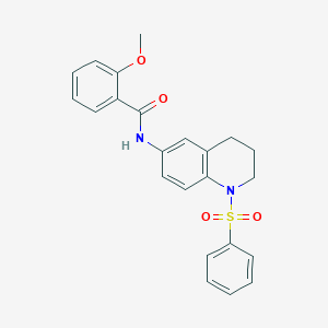 molecular formula C23H22N2O4S B3000577 2-甲氧基-N-(1-(苯磺酰基)-1,2,3,4-四氢喹啉-6-基)苯甲酰胺 CAS No. 942006-30-6