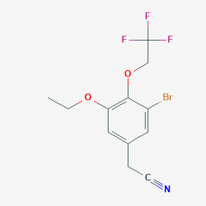 B3000584 2-[3-Bromo-5-ethoxy-4-(2,2,2-trifluoroethoxy)phenyl]acetonitrile CAS No. 1797290-47-1