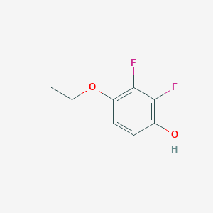 molecular formula C9H10F2O2 B3000656 2,3-二氟-4-(丙-2-氧基)苯酚 CAS No. 1881328-14-8