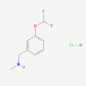 molecular formula C9H12ClF2NO B3003152 {[3-(Difluoromethoxy)phenyl]methyl}(methyl)amine hydrochloride CAS No. 2193066-57-6