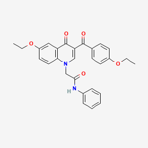 molecular formula C28H26N2O5 B3005738 2-(6-ethoxy-3-(4-ethoxybenzoyl)-4-oxoquinolin-1(4H)-yl)-N-phenylacetamide CAS No. 897617-79-7