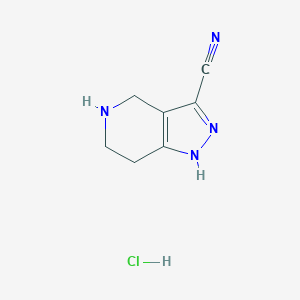 4,5,6,7-Tetrahydro-2H-pyrazolo[4,3-c]pyridine-3-carbonitrile hydrochloride