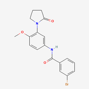 3-bromo-N-(4-methoxy-3-(2-oxopyrrolidin-1-yl)phenyl)benzamide