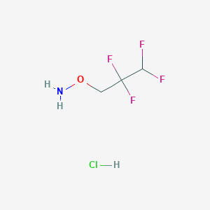 molecular formula C3H6ClF4NO B3008486 O-(2,2,3,3-Tetrafluoropropyl)hydroxylamine;hydrochloride CAS No. 2226022-49-5