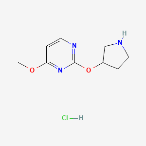 molecular formula C9H14ClN3O2 B3012817 4-Methoxy-2-(pyrrolidin-3-yloxy)pyrimidine hydrochloride CAS No. 1713160-82-7