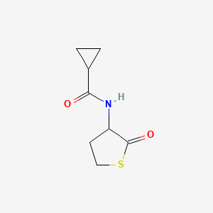 molecular formula C8H11NO2S B3013447 N-(2-oxothiolan-3-yl)cyclopropanecarboxamide CAS No. 2168756-38-3
