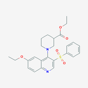 molecular formula C25H28N2O5S B3013895 Ethyl 1-[3-(benzenesulfonyl)-6-ethoxyquinolin-4-yl]piperidine-3-carboxylate CAS No. 866811-86-1