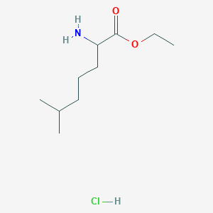 molecular formula C10H22ClNO2 B3017525 Ethyl 2-amino-6-methylheptanoate hydrochloride CAS No. 2126160-25-4