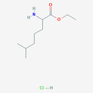 Ethyl 2-amino-6-methylheptanoate hydrochloride