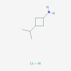 molecular formula C7H16ClN B3018648 3-Propan-2-ylcyclobutan-1-amine;hydrochloride CAS No. 2305252-30-4