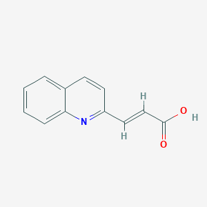 molecular formula C12H9NO2 B3021114 3-(2-Quinolinyl)acrylic acid CAS No. 81124-50-7