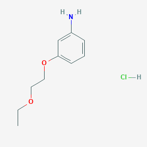 molecular formula C10H16ClNO2 B3021175 3-(2-Ethoxyethoxy)aniline hydrochloride CAS No. 1049787-84-9