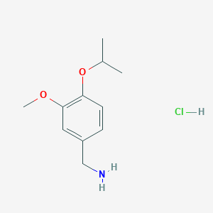 molecular formula C11H18ClNO2 B3021616 (4-Isopropoxy-3-methoxyphenyl)methanamine hydrochloride CAS No. 854185-11-8