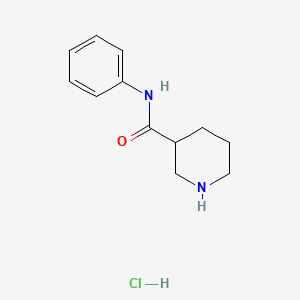 N-Phenyl-3-piperidinecarboxamide hydrochloride