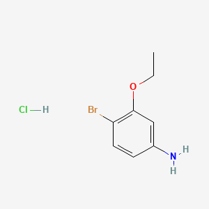 4-Bromo-3-ethoxyaniline hydrochloride