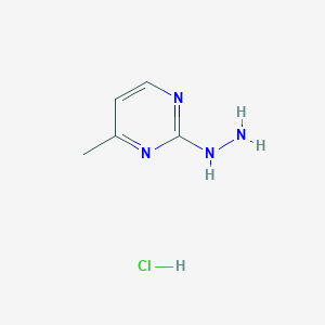 molecular formula C5H9ClN4 B3022029 2-hydrazinyl-4-methylpyrimidine hydrochloride CAS No. 1332529-53-9