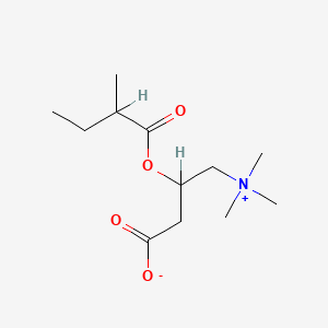 molecular formula C12H23NO4 B3022856 2-Methylbutyroylcarnitine CAS No. 256928-75-3