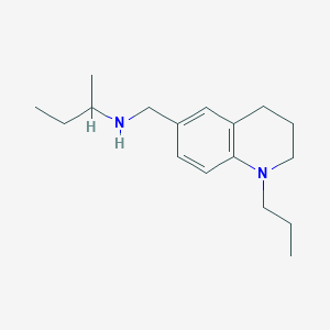 N-(sec-butyl)-N-[(1-propyl-1,2,3,4-tetrahydroquinolin-6-yl)methyl]amine