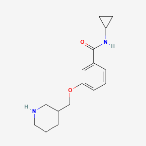 molecular formula C16H22N2O2 B3023338 N-cyclopropyl-3-(piperidin-3-ylmethoxy)benzamide hydrochloride CAS No. 1306739-81-0