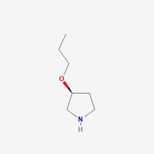 (S)-3-Propoxy-pyrrolidine