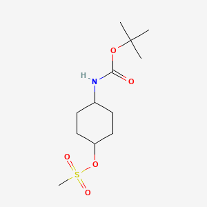 molecular formula C12H23NO5S B3024284 trans-4-(Boc-amino)cyclohexyl methanesulfonate CAS No. 692782-14-2