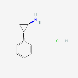 molecular formula C9H12ClN B3024336 Tranylcypromine hydrochloride CAS No. 37388-05-9