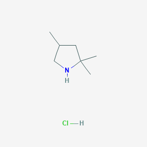 molecular formula C7H16ClN B3024392 2,2,4-Trimethylpyrrolidine hydrochloride CAS No. 1390654-80-4