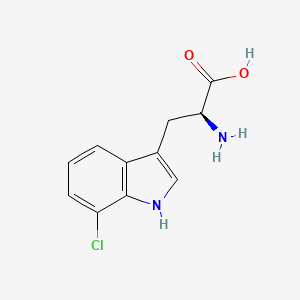 molecular formula C11H11ClN2O2 B3024634 7-chloro-L-tryptophan CAS No. 73945-46-7