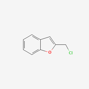 molecular formula C9H7ClO B3024676 2-(chloromethyl)benzofuran CAS No. 36754-60-6