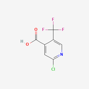 molecular formula C7H3ClF3NO2 B3024678 2-chloro-5-(trifluoromethyl)pyridine-4-carboxylic Acid CAS No. 505084-58-2