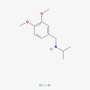 molecular formula C12H20ClNO2 B3025535 N-(3,4-二甲氧基苄基)-2-丙胺盐酸盐 CAS No. 1049788-24-0