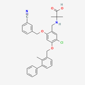 NP19