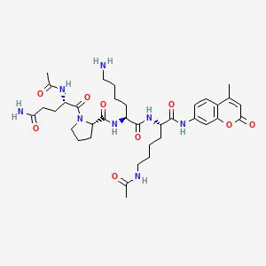 molecular formula C36H52N8O9 B3025686 Ac-QPKK(Ac)-AMC 
