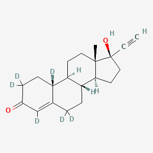 molecular formula C20H26O2 B3025749 Norethindrone-d6 