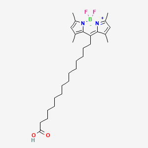 molecular formula C28H43BF2N2O2 B3025865 BODIPY-Palmitate 