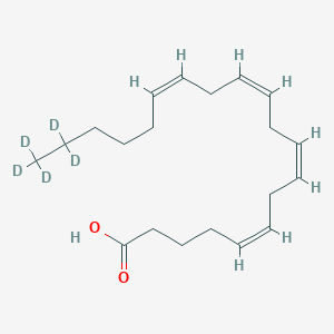 molecular formula C20H32O2 B3025904 Arachidonic acid-d5 