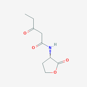 molecular formula C9H13NO4 B3025957 N-(3-Oxopentanoyl)-L-homoserine lactone 