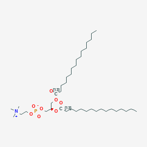 molecular formula C40H80NO8P B3025997 DPPC-13C2 
